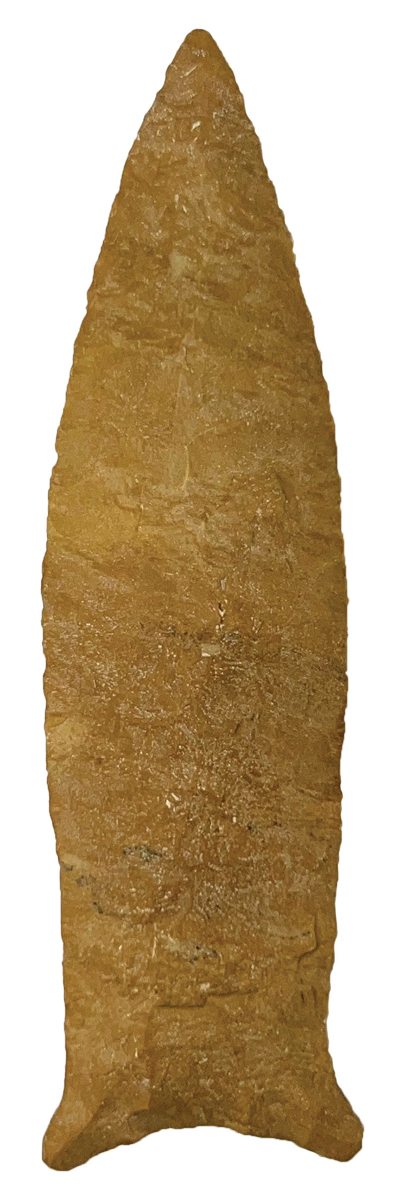 4" Pike County Point. Benton County, Tennessee. Rogers COA. (1 of 3)