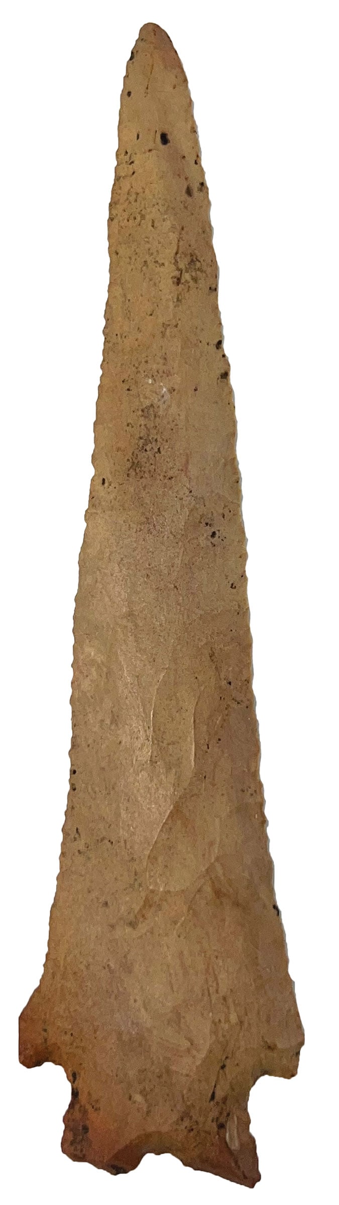 6" Buzzard Roost Creek. Ft. Payne Chert. Tennessee. Dickey COA. (1 of 3)