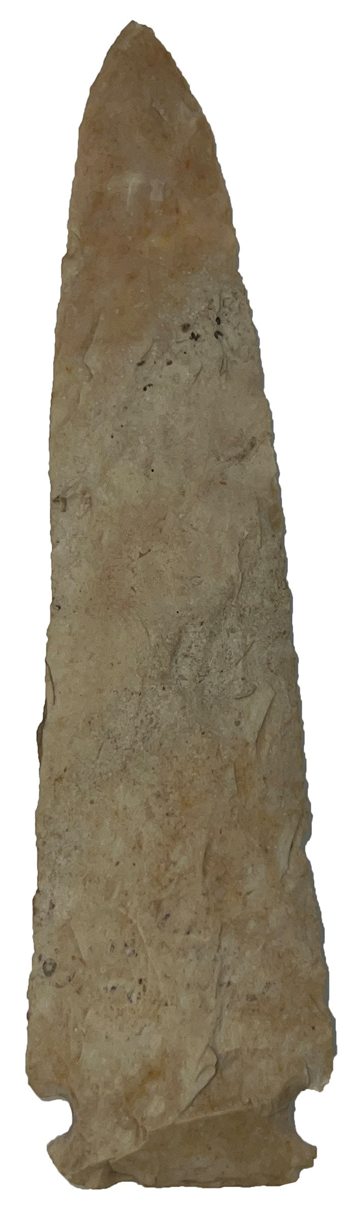 6 5/16" Stilwell (Neuberger). Burlington Chert. Partain COA. (1 of 3)