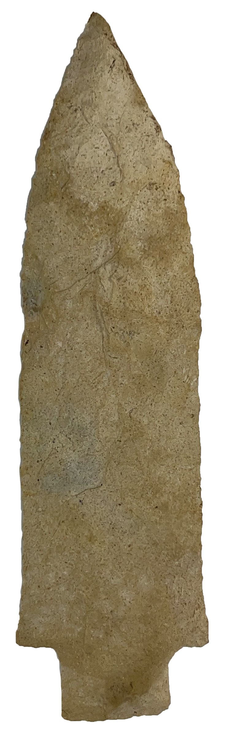 8 1/4" Huge Etley. St Louis County, Missouri. Ex Fostlerling. (1 of 2)