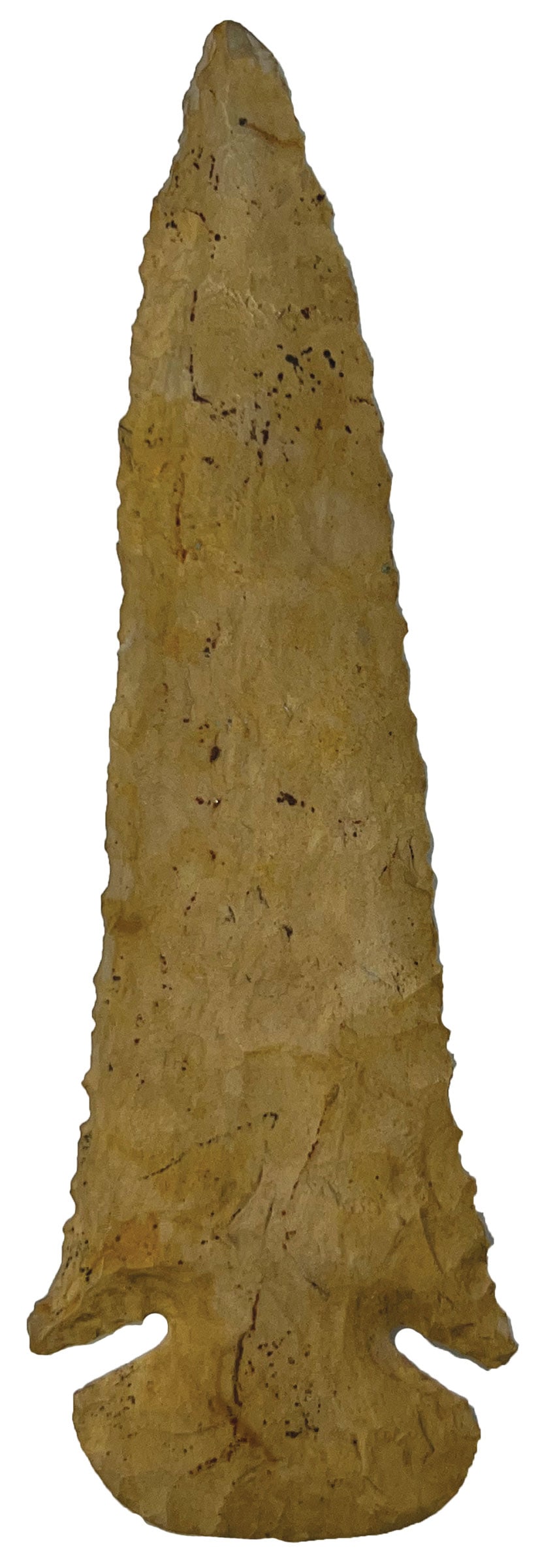 4 15/16" Dovetail. Fort Payne Chert. Tennessee.  T. Davis COA. (1 of 3)