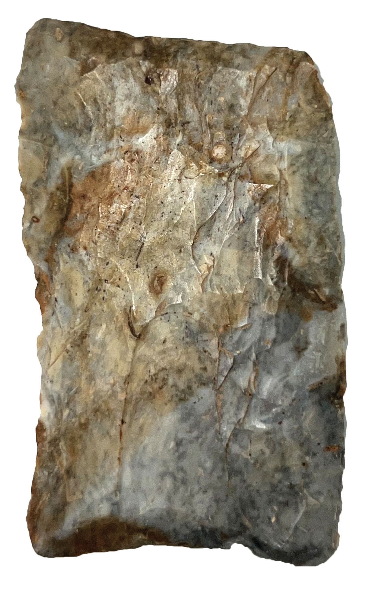 2 1/4" Square Knife. Ohio. Ex Frederick Abel. Putty COA. (1 of 3)