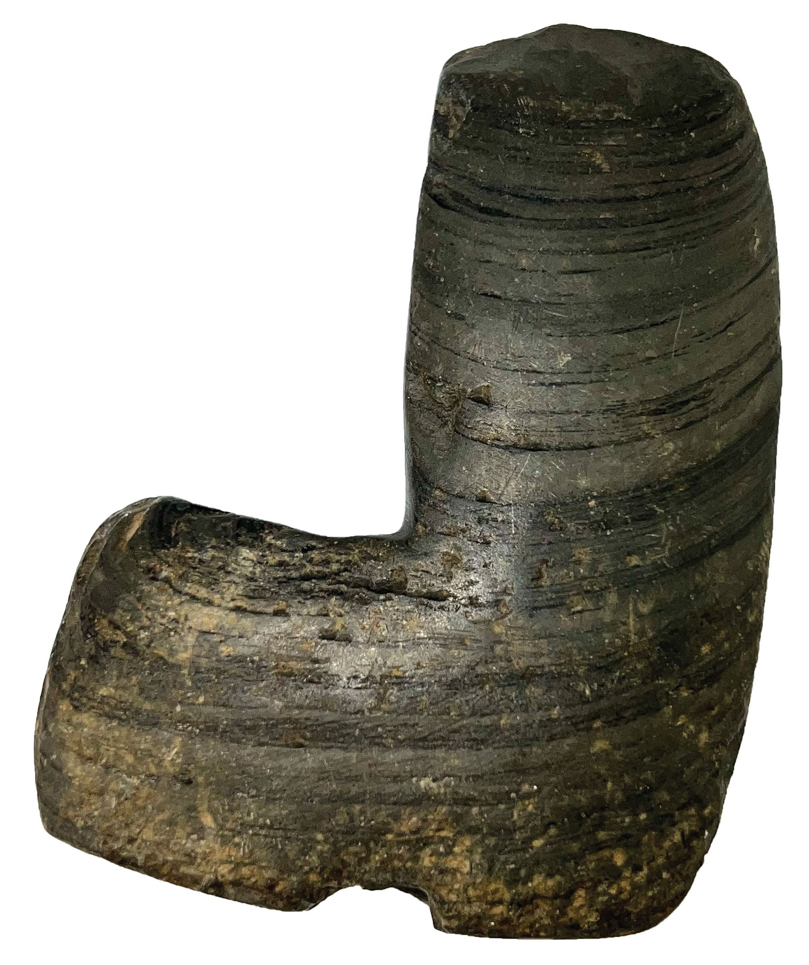 3 7/8" Geniculate. Huronian Slate. Indiana. Putty COA. (1 of 4)