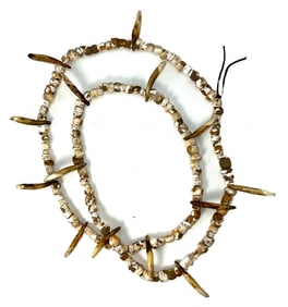 7" Strand of Marine Shell Beads and K9 Teeth. Ohio. J Davis COA.