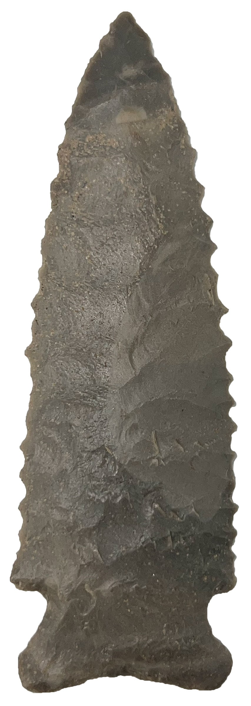 4 3/4" Stillwell. Nice edge serrations. Missouri. Rogers COA. (1 of 3)