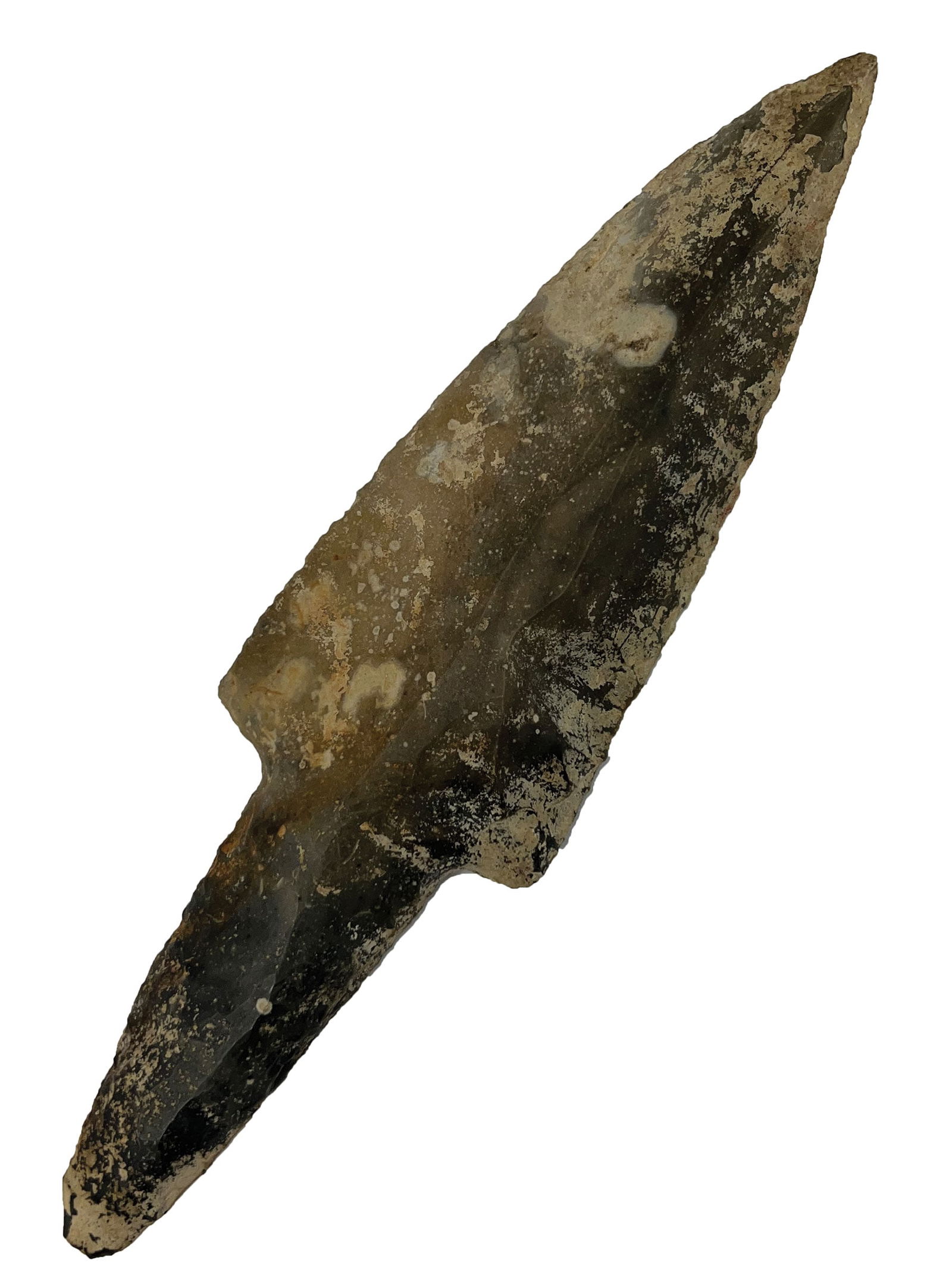 10 11/16" Mayan Blade. Ex Terry Allen. Motley and IAGA COA's. (1 of 4)