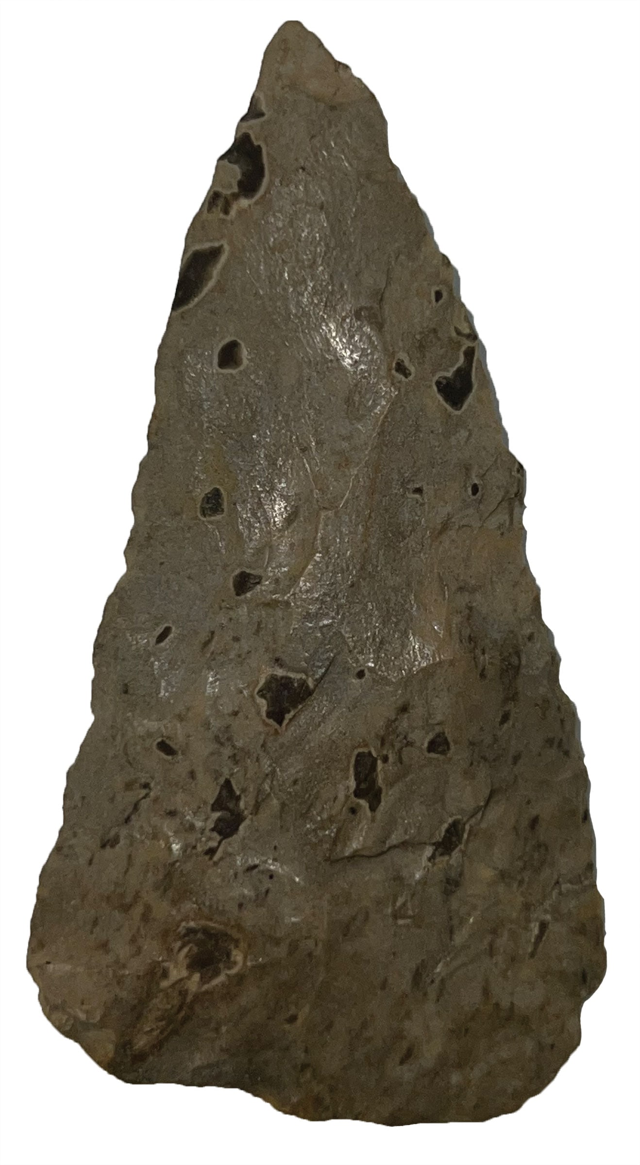 3" Cody Complex Knife. Oklahoma. Ex Terry Allen. Motley COA.: 3" Cody Complex Knife. Reed Spring Chert. Nice Mineral Deposits. Recovered near the Arkansas River. Oklahoma. Ex Terry Allen. Motley COA.