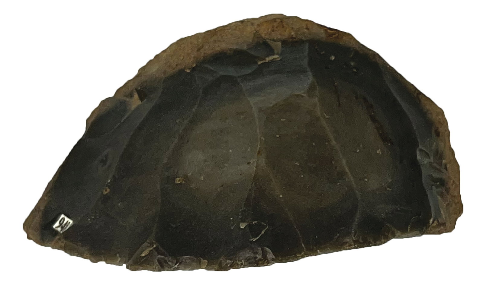 Hornstone Core. Madison County, Indiana. Ex Larry Swann.: Hornstone Core. Madison County, Indiana. Ex Larry Swann.