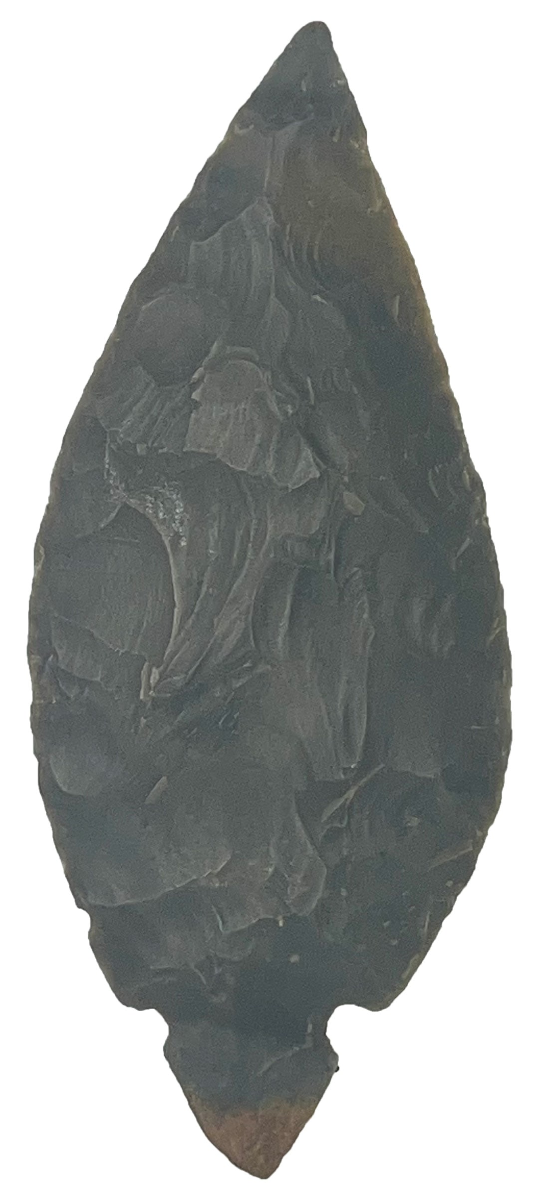 5" Hornstone Turkeytail. Harrison County, Indiana. Ex Floyd Ritter. (1 of 2)