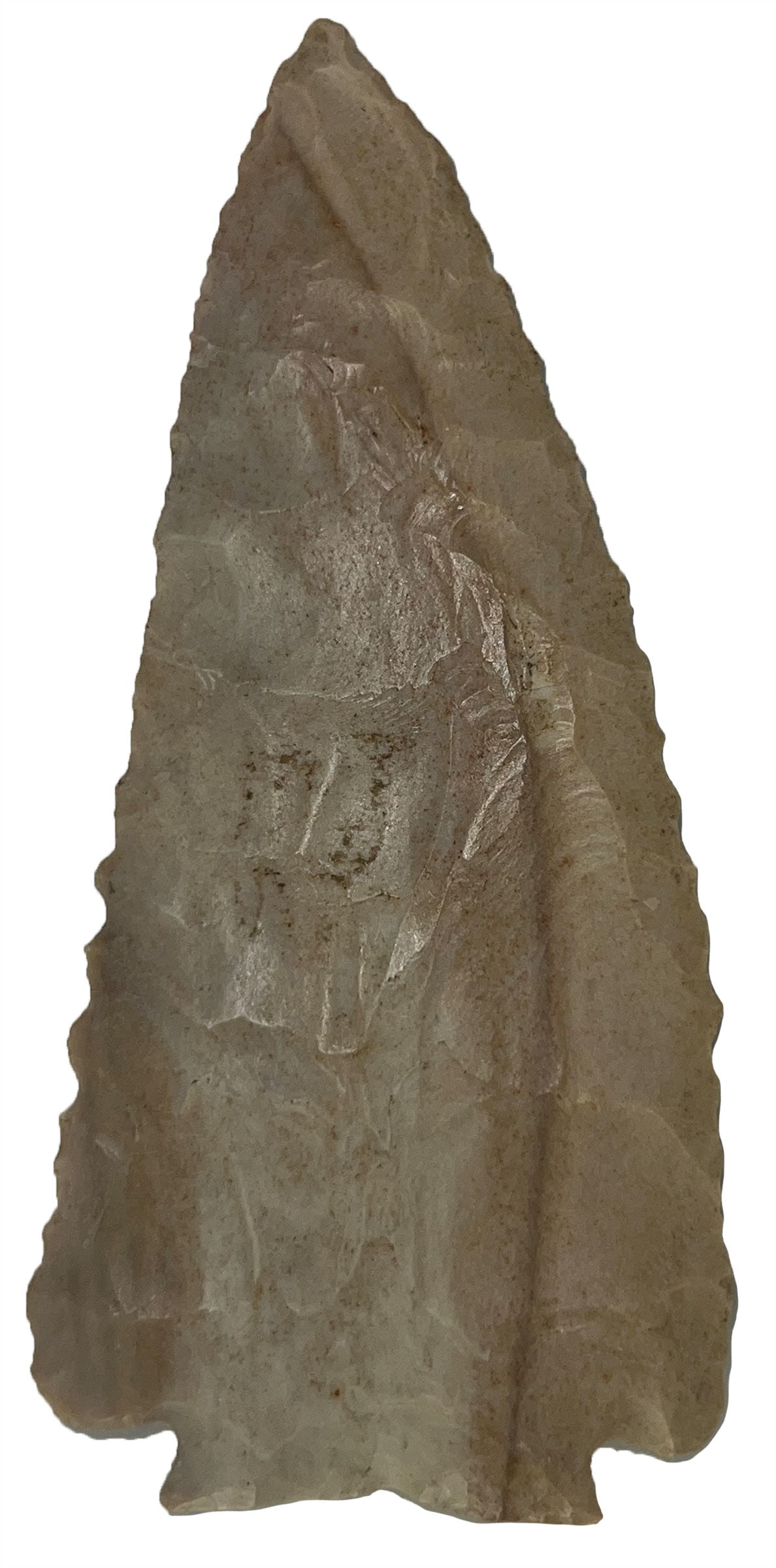 3 9/16" Decatur. Ohio County, Kentucky. Rogers COA. (1 of 3)