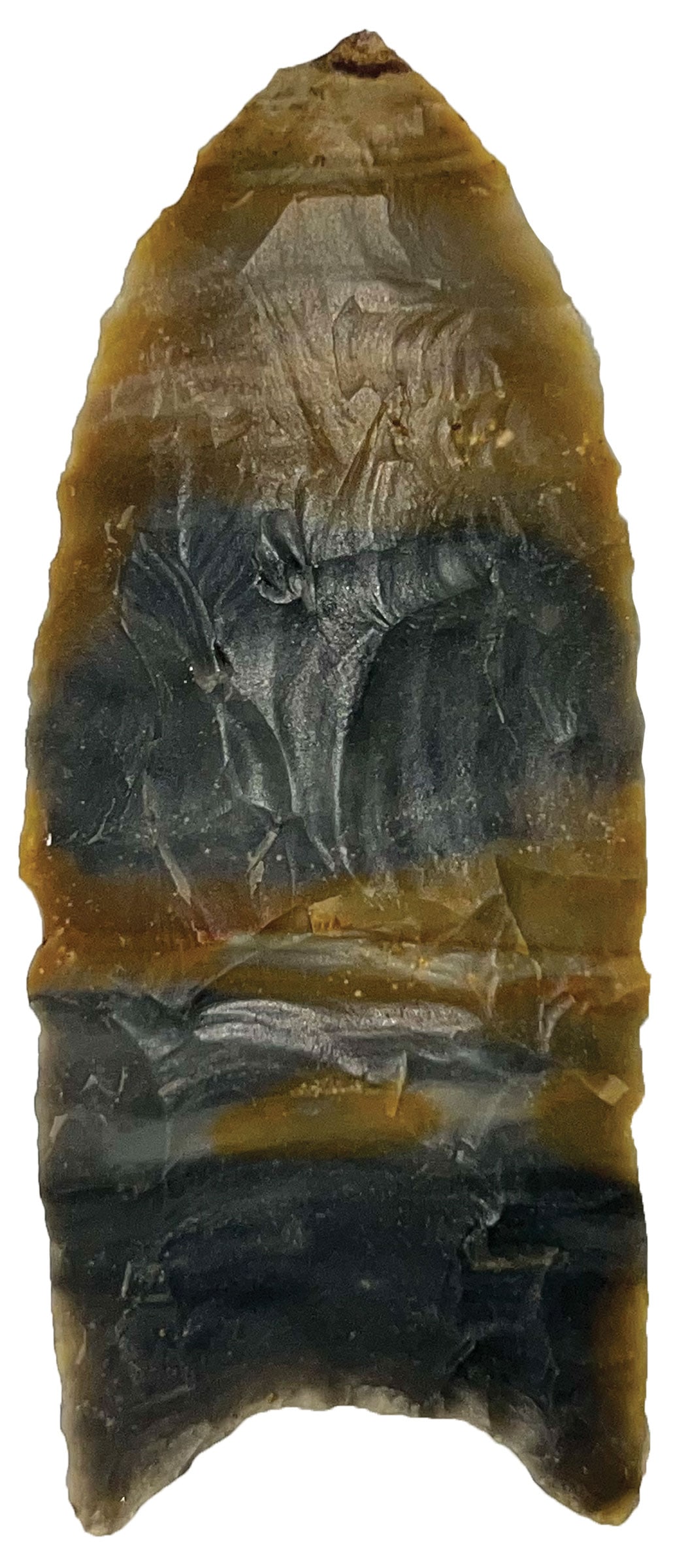 2 7/8” Clovis. Gray and Tan Color Flint. Kentucky. Rogers COA. (1 of 3)