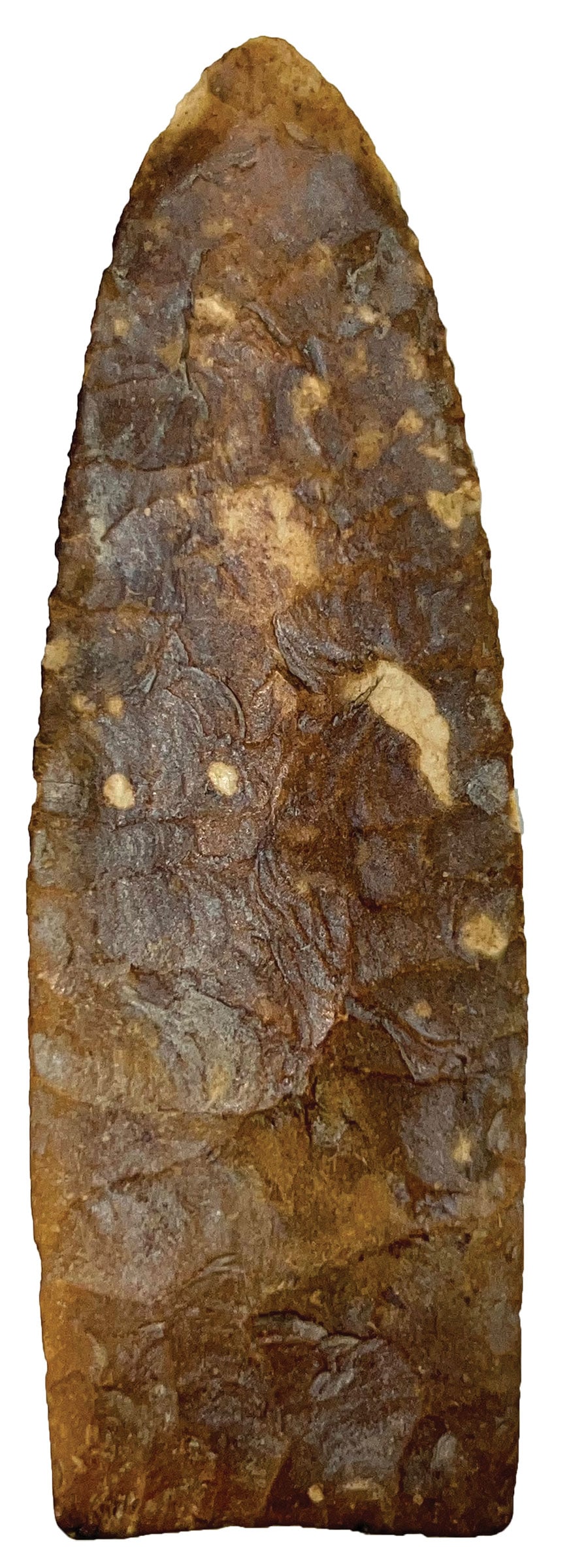 4 3/16" First view. Clark County, Missouri. Rogers COA. (1 of 6)