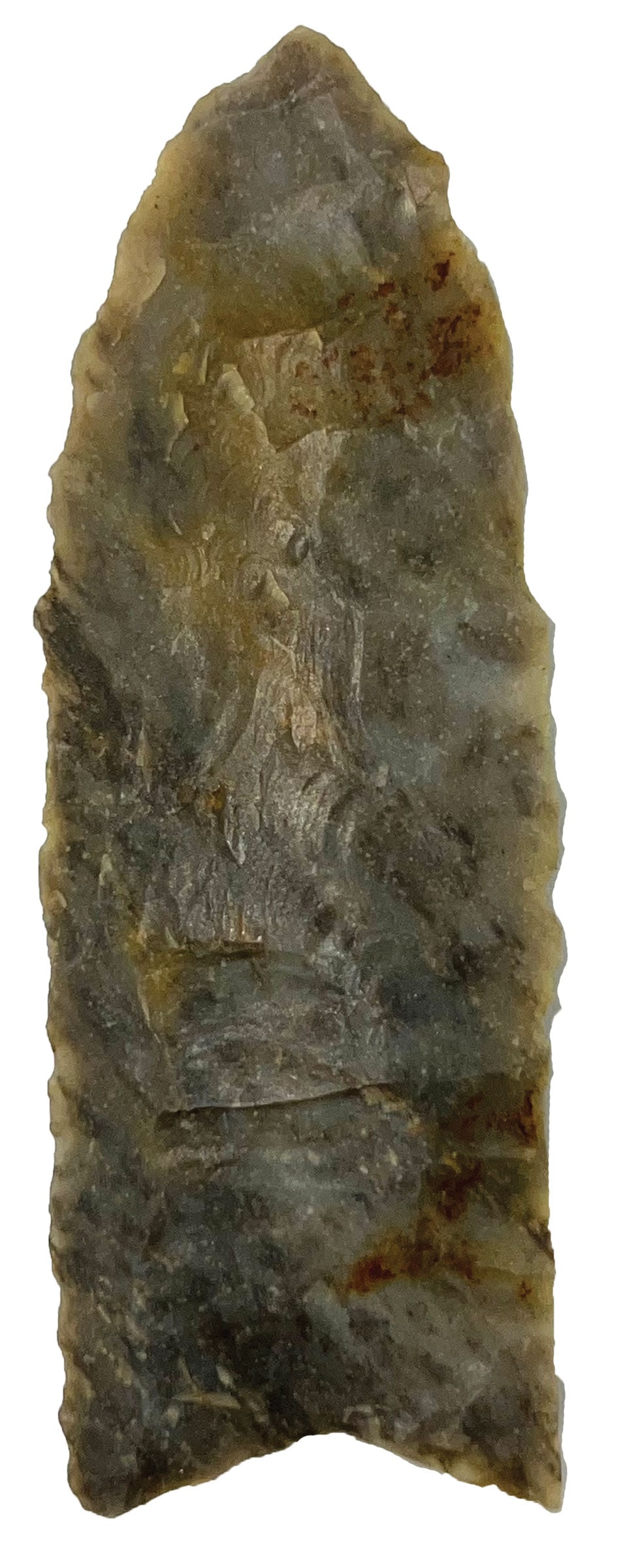 3 5/16" Clovis. Gray Color Chert. Pike County, Ohio. Rogers COA. (1 of 3)