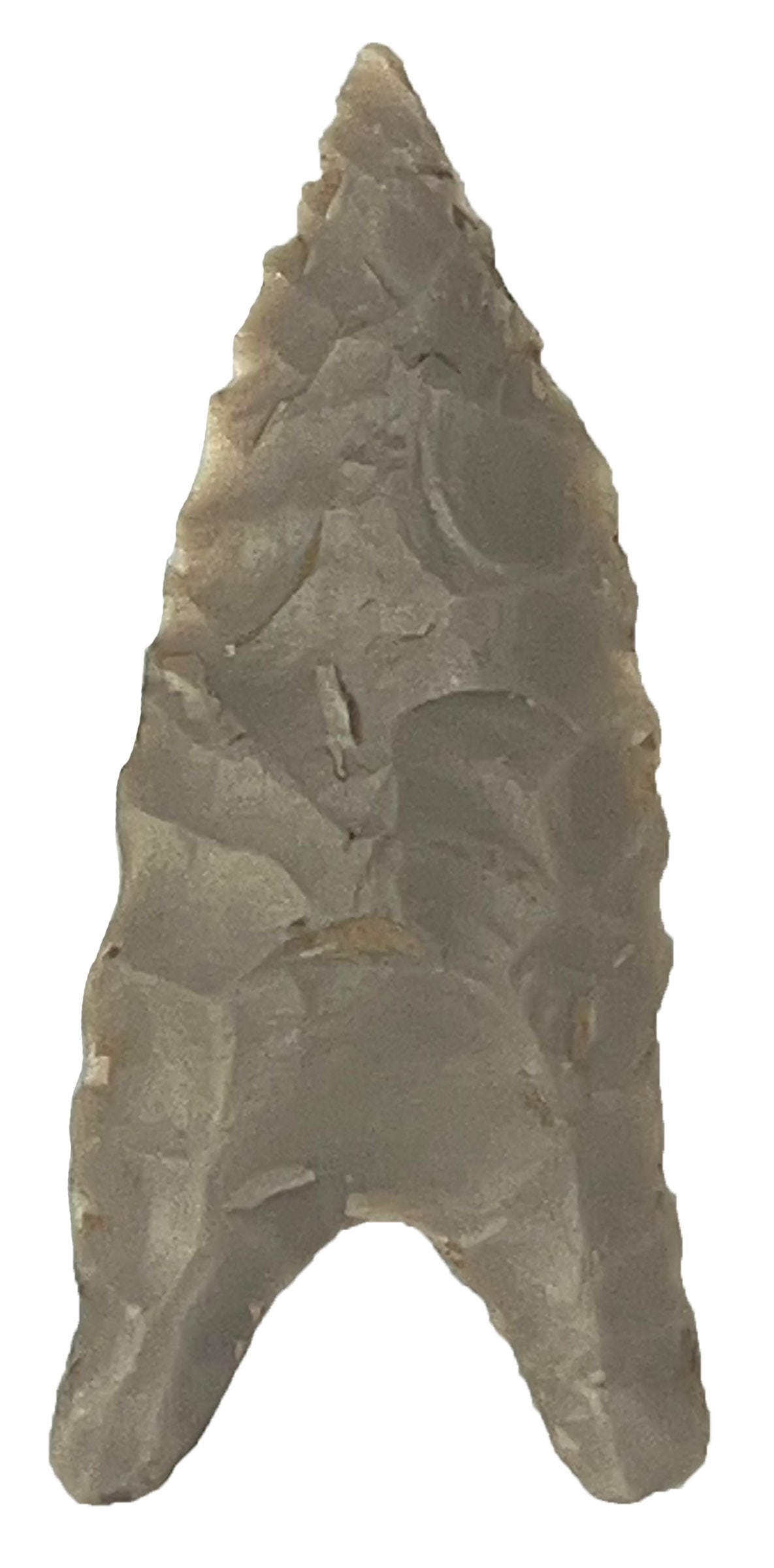 1 3/4” Dalton. Found by Forrest Robbins in 1987. Dickey COA. (1 of 3)