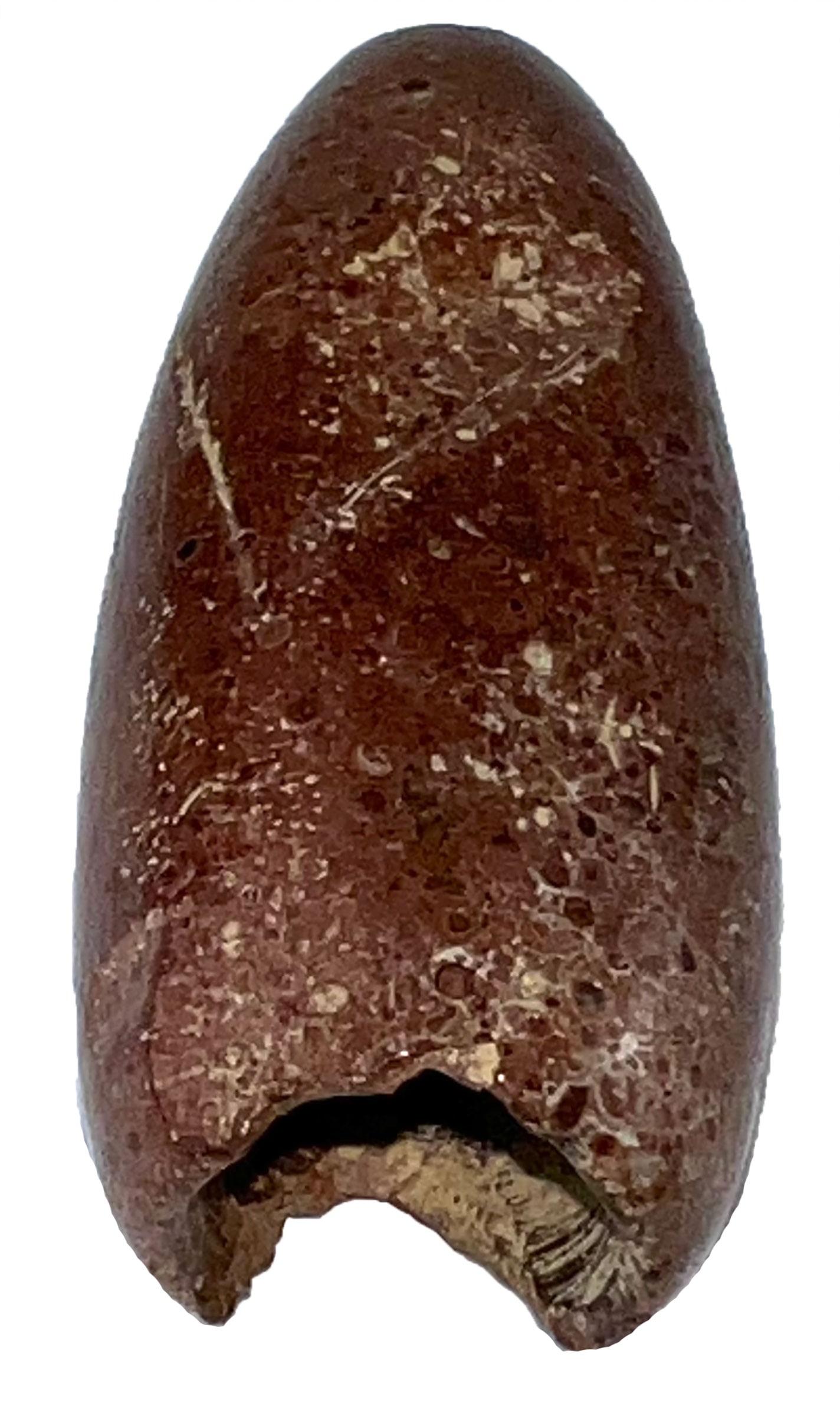 2 3/8" Tube Pipe. Pipestone. Recovered in 1995. Davis COA. (1 of 4)