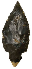 2 5/8" Turkeytail. Hornstone. Nice, cute example. Keele COA.