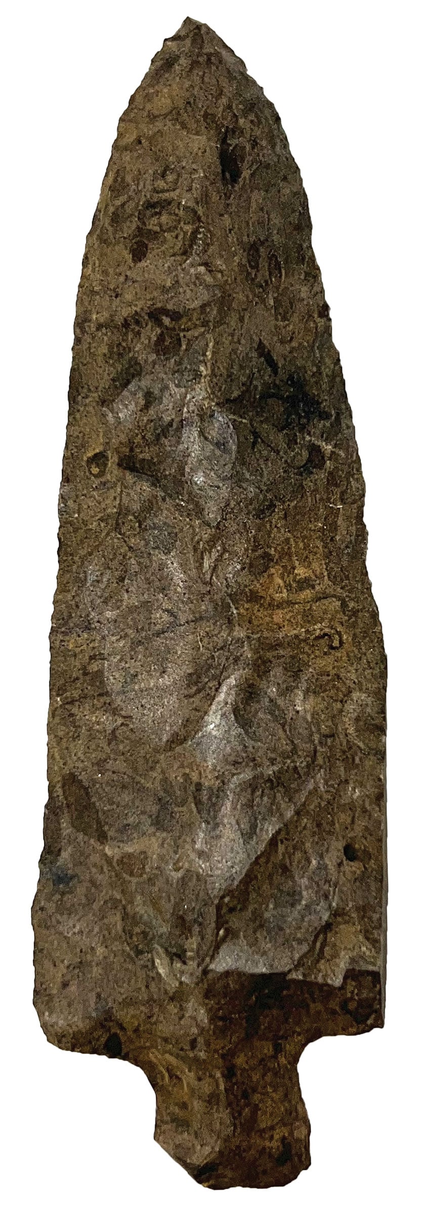 4 7/8” Mulberry Creek. West Tennessee. Dover Chert. Davis COA. (1 of 3)