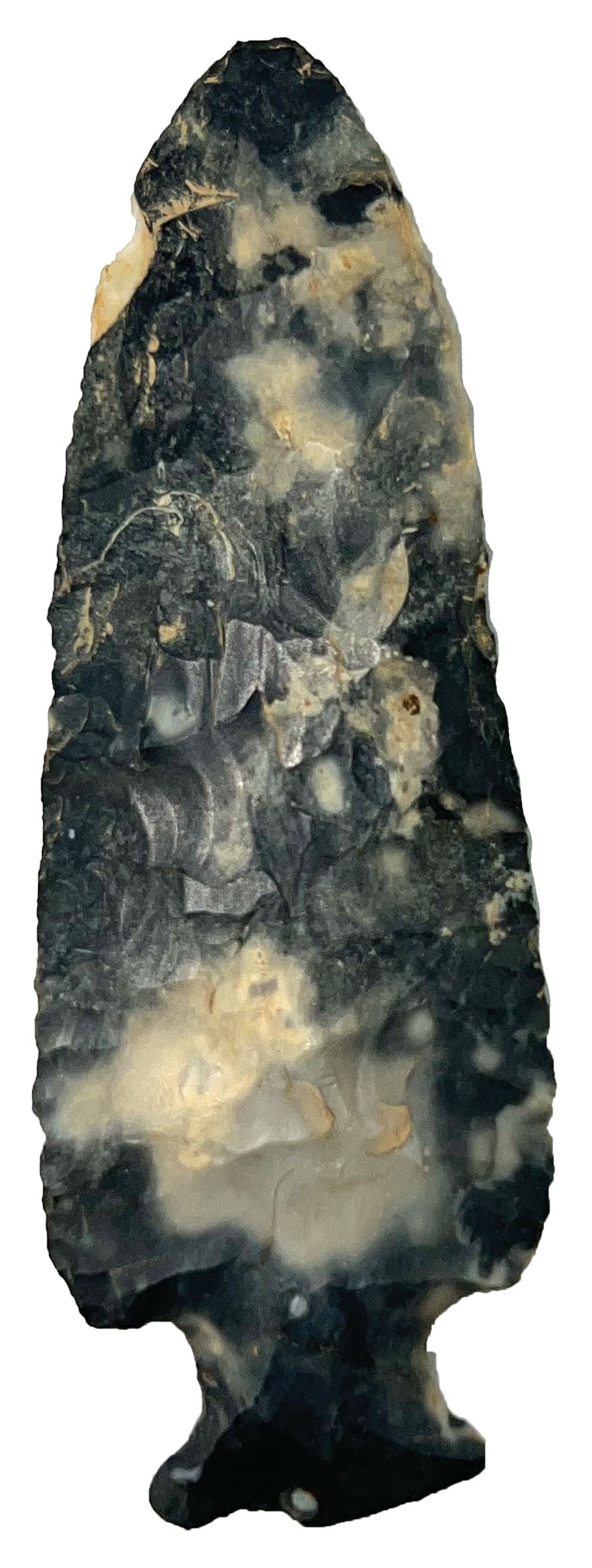 2 15/16” Table Rock. Coshocton Chert. Ohio. J. Davis COA. (1 of 3)