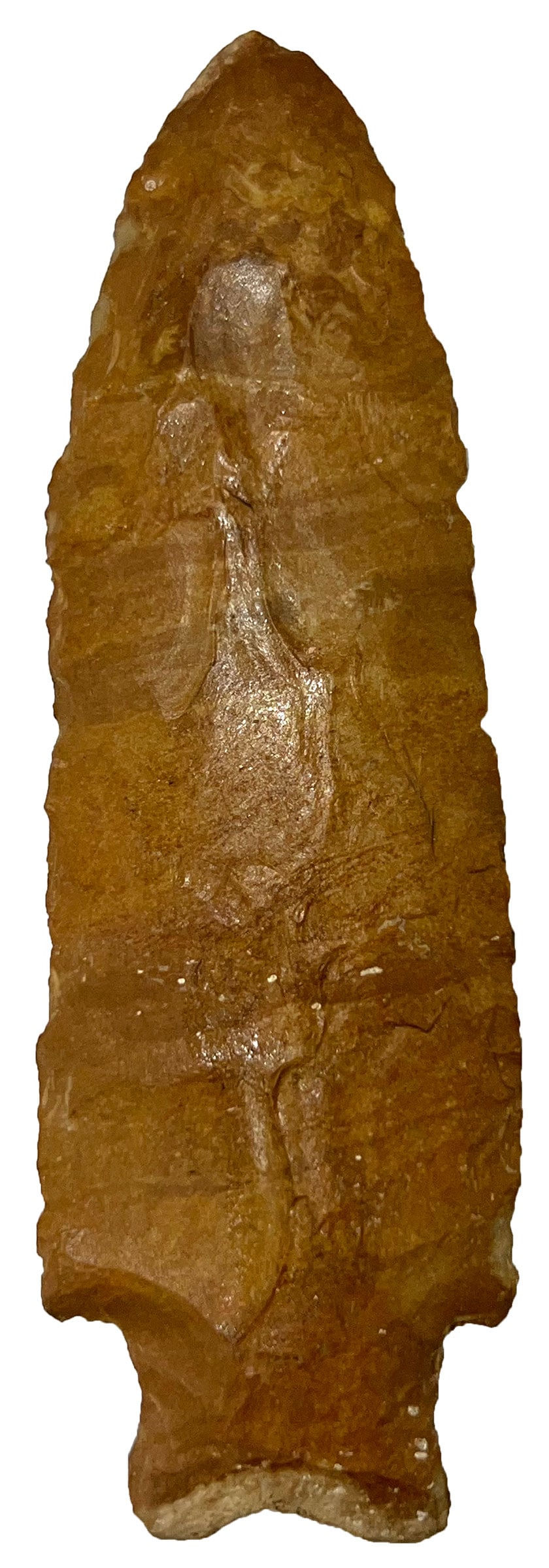 3 3/4” Buzzard Roost Creek. Fort Payne. Tennessee. Davis COA.  (1 of 3)