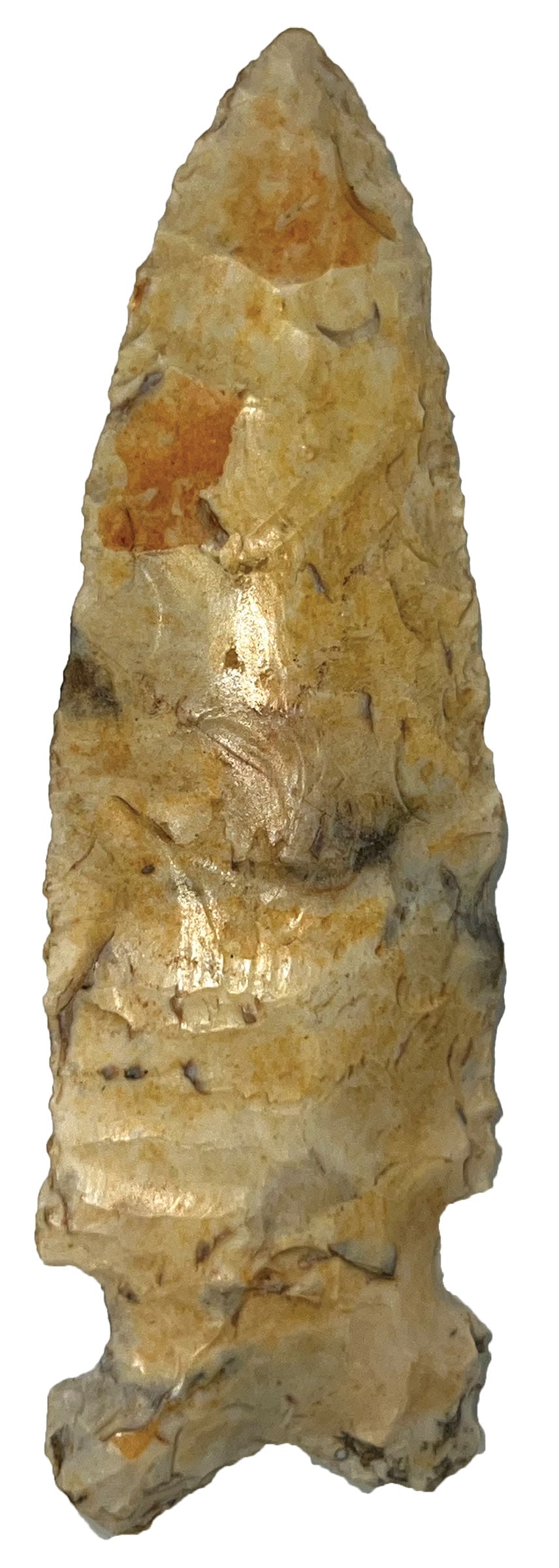 3 1/2” Graham Cave. Illinois. Jefferson City Chert. Ex Pipes. Davis COA. : 3 1/2” Graham Cave. Illinois. Jefferson City Chert. Ex Kevin Pipes. J. Davis COA. 