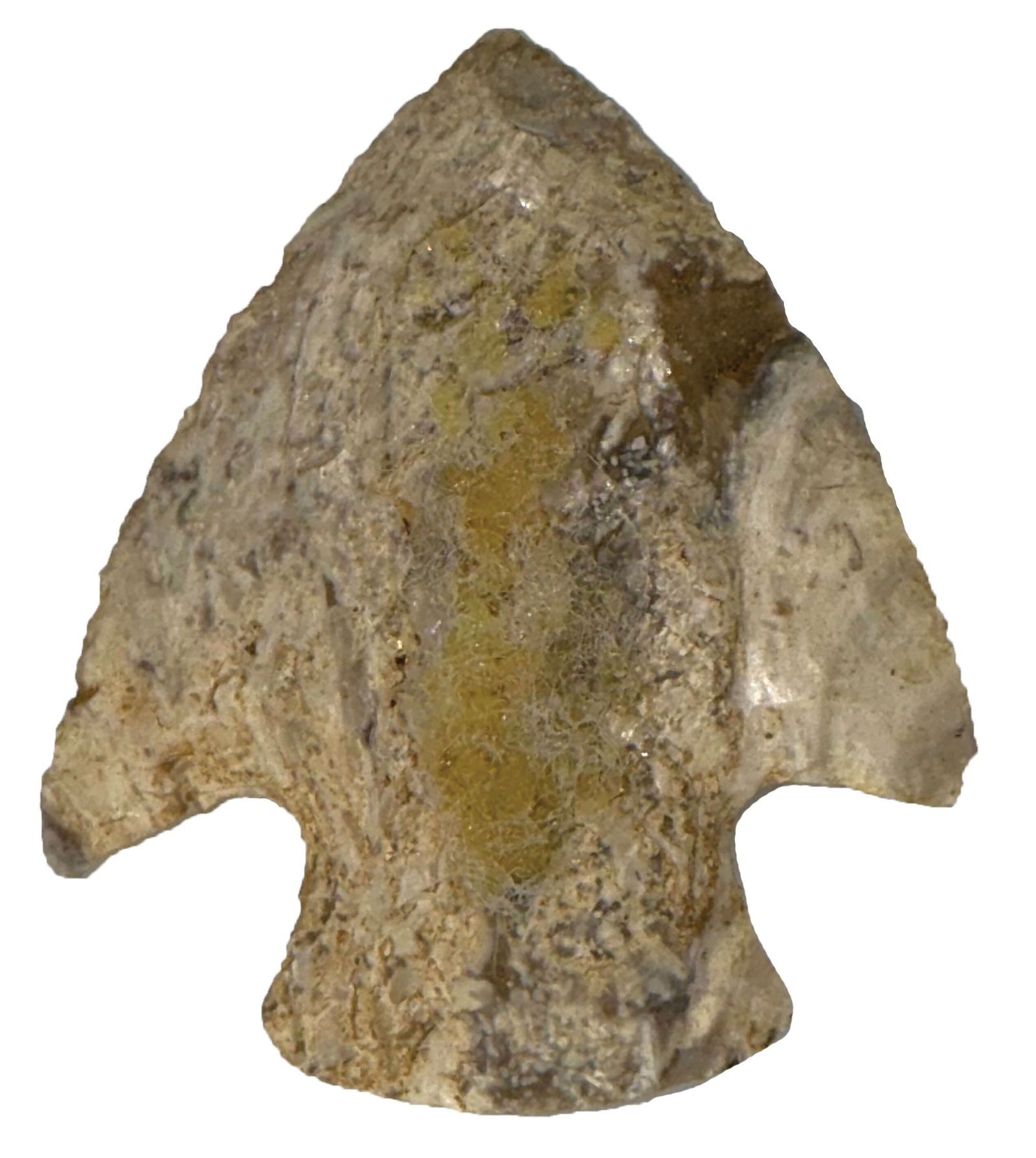 2 3/16" Snyder. White/Gray Burlington Chert. Ex Terry Allen. Motley COA. (1 of 3)