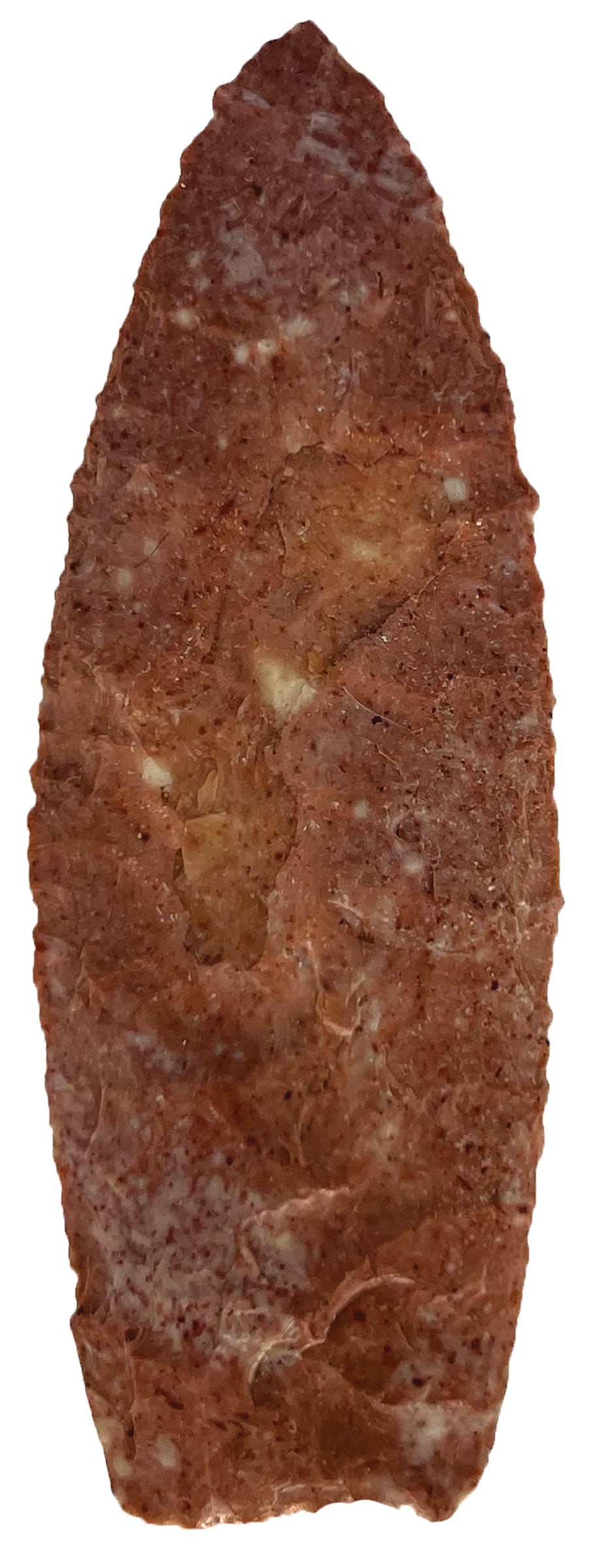 3" Angostura. Ex Steinbaker, Wells, Kilander and Gatses. Dickey COA.: 3" Angostura. Beautiful Heat Treated Material. Boone County, Missouri. Ex Tyson Steinbaker, Jerry Wells, Aaron Kilander and Nick Gatses Collections. Dickey COA.