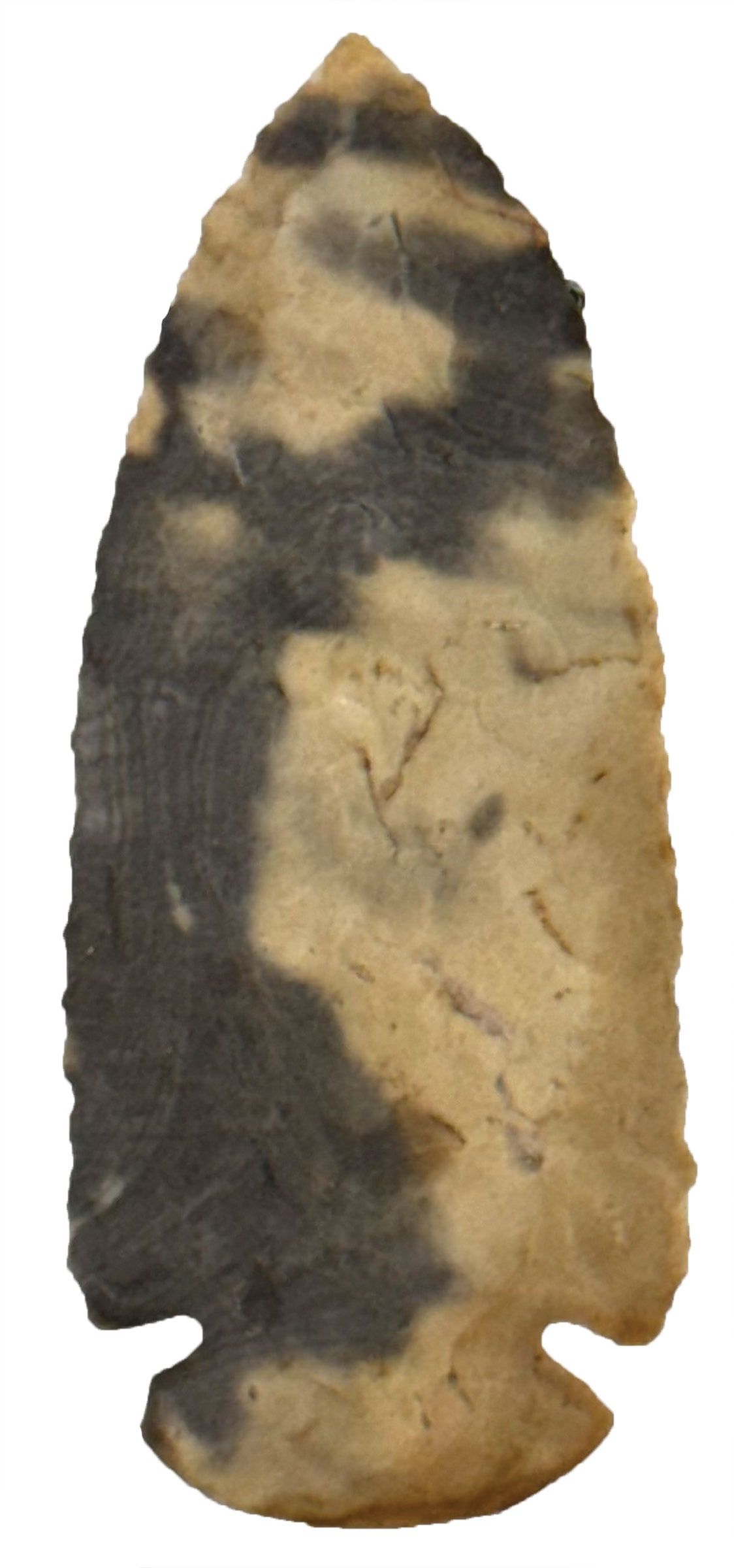 3 1/16" Dovetail. Ohio. Ex Richard Tebbs Collection. (1 of 2)