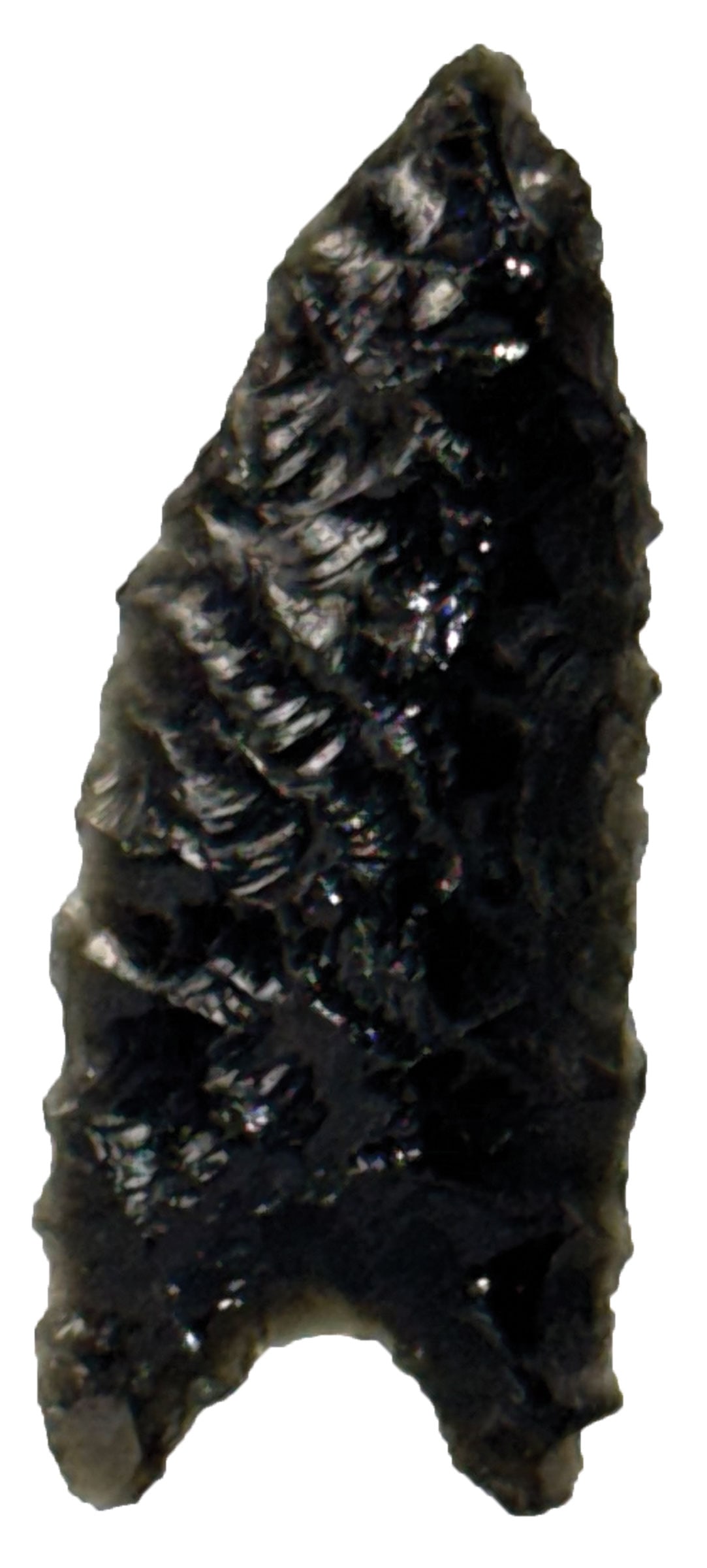 1 1/2" Humboldt. Obsidian. Lake County, California. Ex Nick Gray.: 1 1/2" Humboldt. Obsidian. Lake County, California. Ex Nick Gray Collection.
