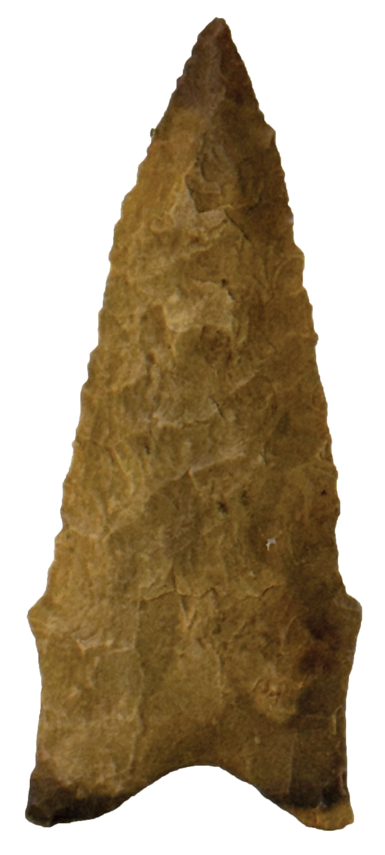 3" Dalton. Found by Jim Edsell in 1994. Ex J.Edsell and S.Ford. T. Davis COA. (1 of 2)