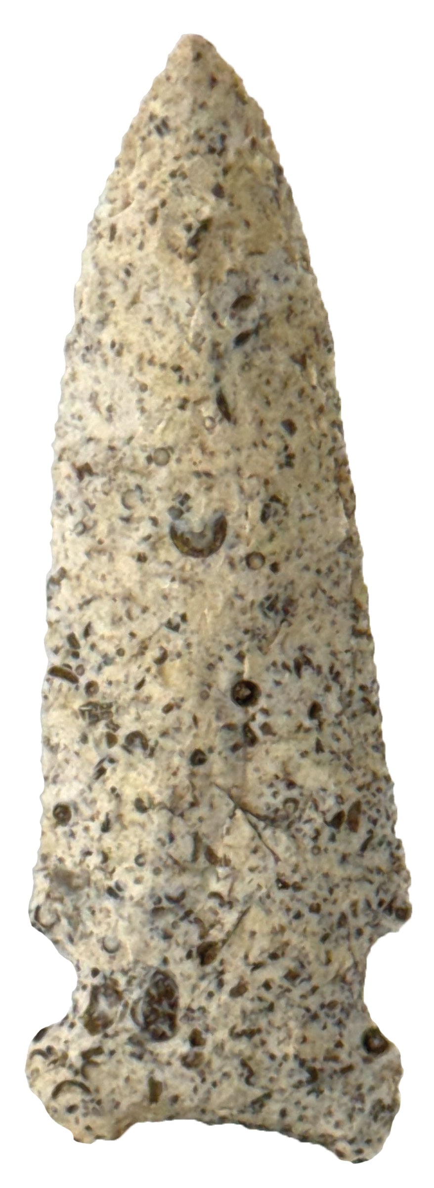 3 9/16" Graham Cave. Burlington. Ex S. McCade and S. Ford. Keele COA.: 3 9/16" Graham Cave. Fossilized Burlington Chert. Shows good patination. Milan, Missouri. Ex Steve McCade and Steve Ford Collections. Keele COA.