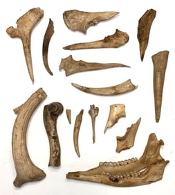 Frame of Bones and Antler. 2 3/4" to 8 1/4". Tennessee. Ex Kevin Pipes.