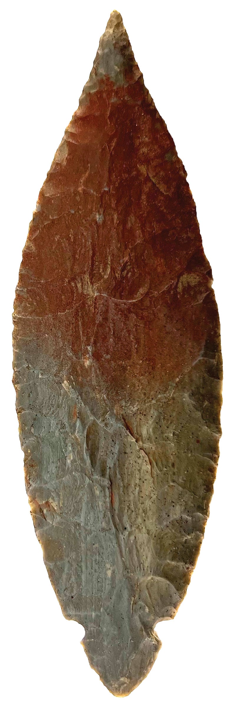 7 1/16" Turkeytail. Covered in Red Ochre. Indiana. Davis COA. (1 of 3)