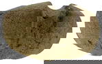 4 1/8” Long 3/4 Groove Axe, Scott Co., MO.  Ex Ronald Knowles.