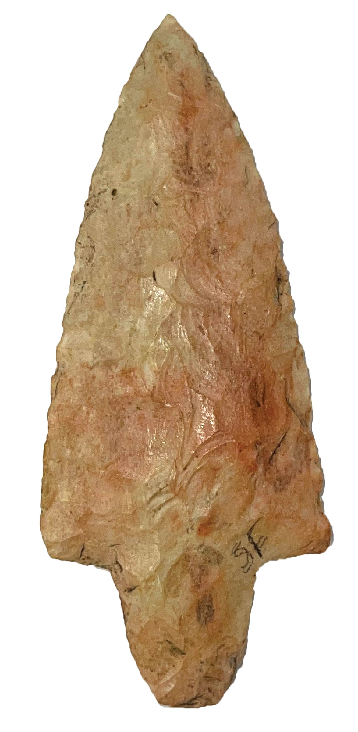 3 3/4” Dickson Point. Burlington. Ex Shewey, Smith, Ford, and Leavell. Perino COA. (1 of 3)