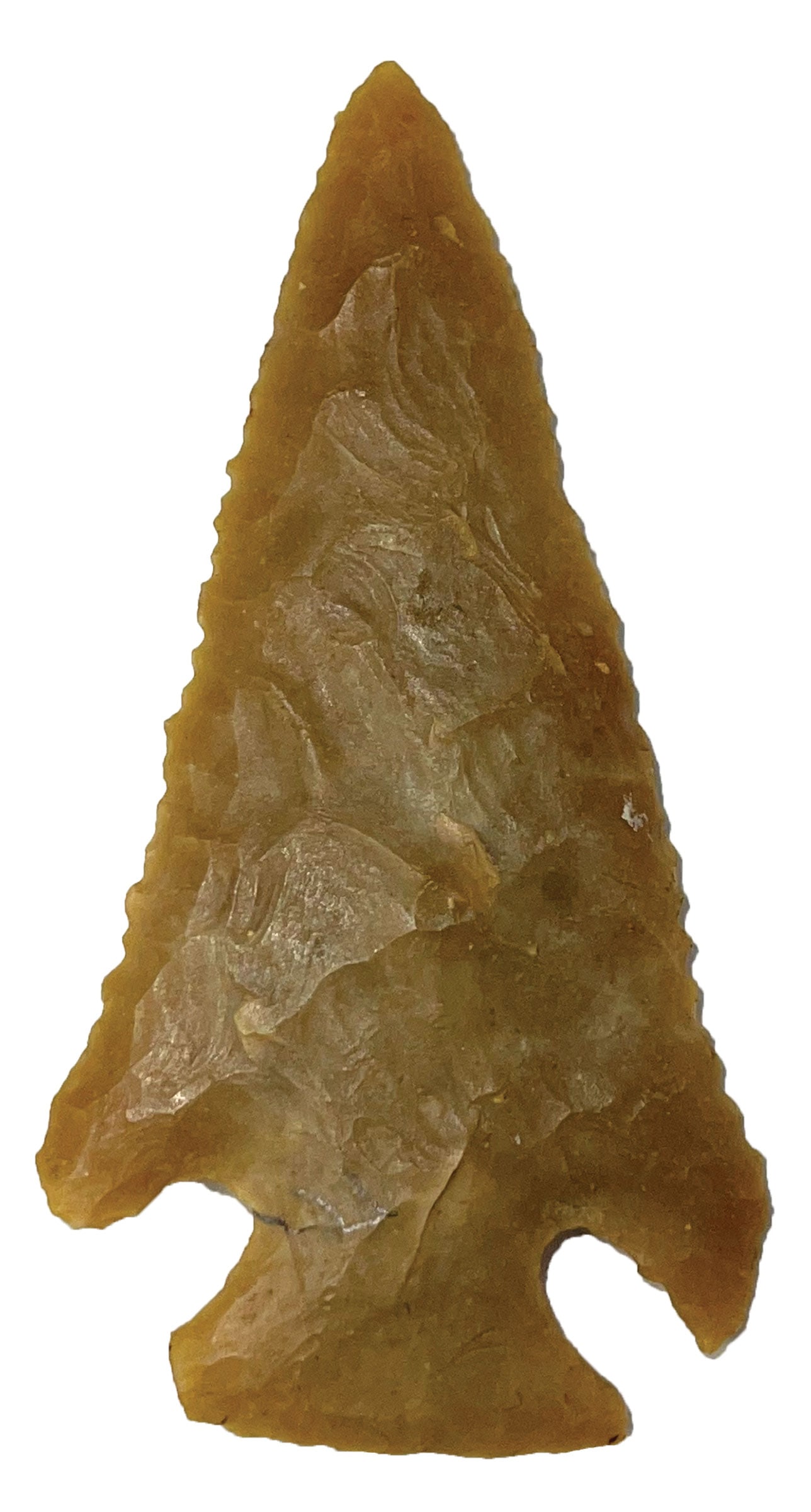 2 1/2” Lost Lake Point. Golden Color Flint. Thin. AL.  Johnson COA. (1 of 3)