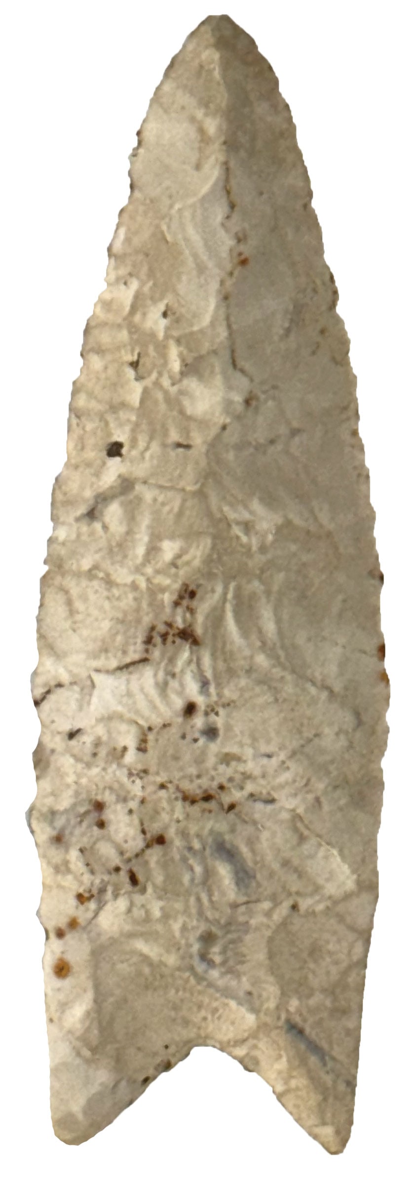 3 1/8" Dalton. White Burlington. Olive Branch Site. Illinois. Davis COA. (1 of 3)