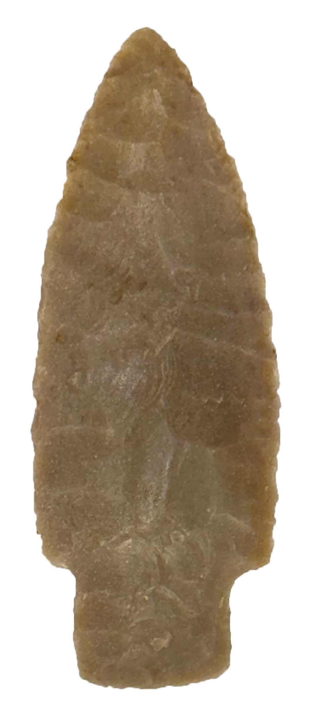 2 13/16” Scottsbluff. Tan Texas Material. Beautifully Flaked. TX. Ex Dr. Jeff Pyle and Zach (1 of 2)