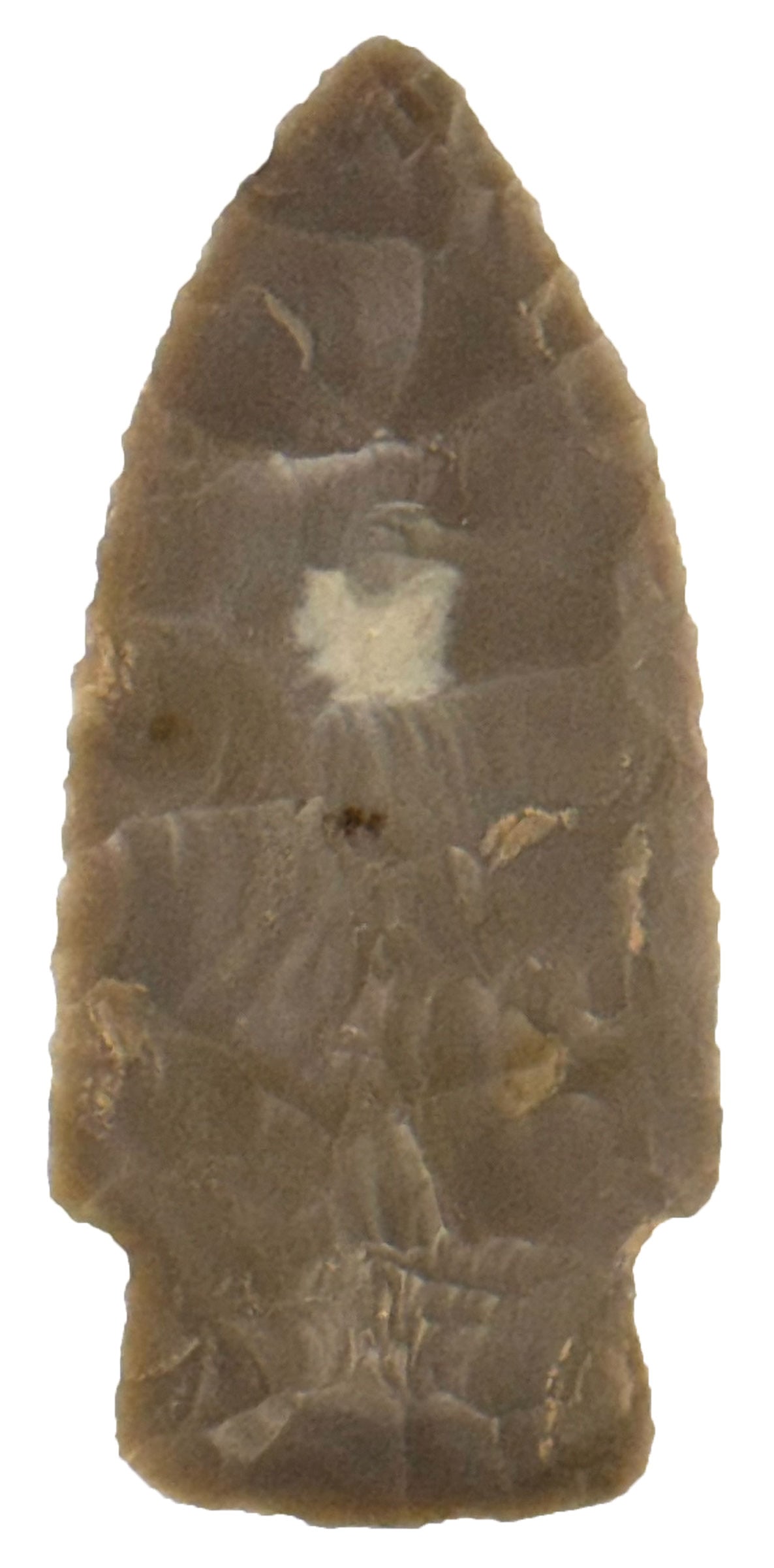 2 1/2" Scottsbluff. Tan Texas Material. Beautifully Flaked. Recovered in Texas. Ex Dr. Jeff Pyle and (1 of 2)