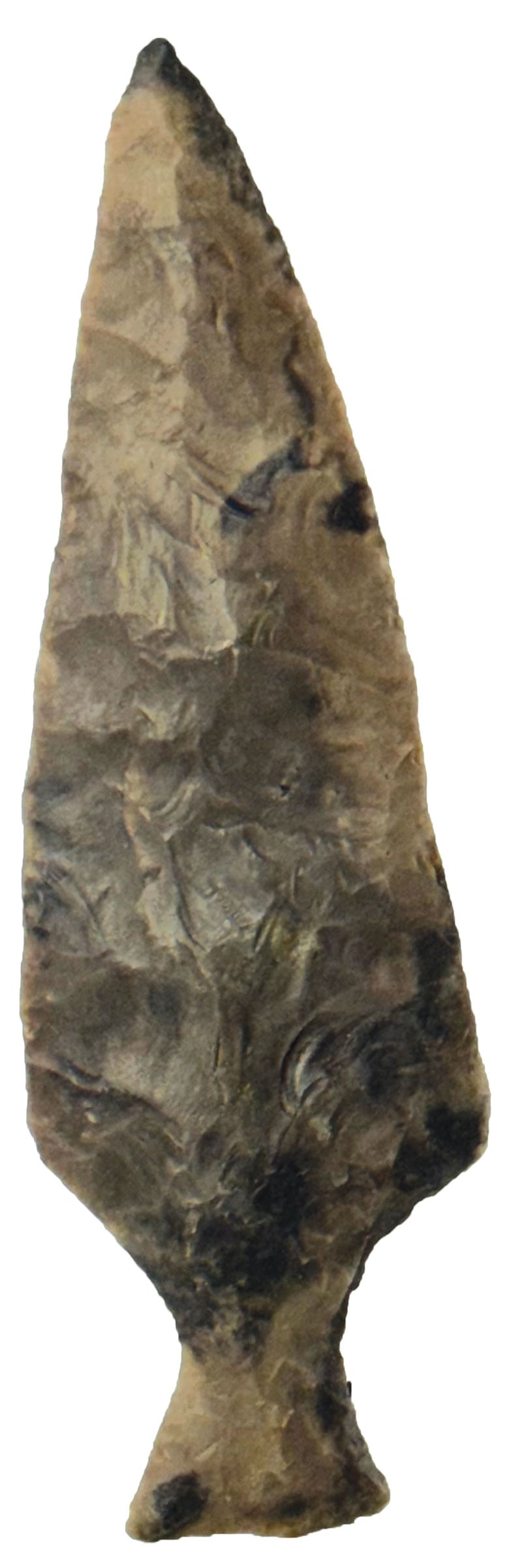 5 3/16” Ashtabula. Uniion Co., OH. Ex R.Coulter and C.Goodman Rogers COA.  (1 of 3)