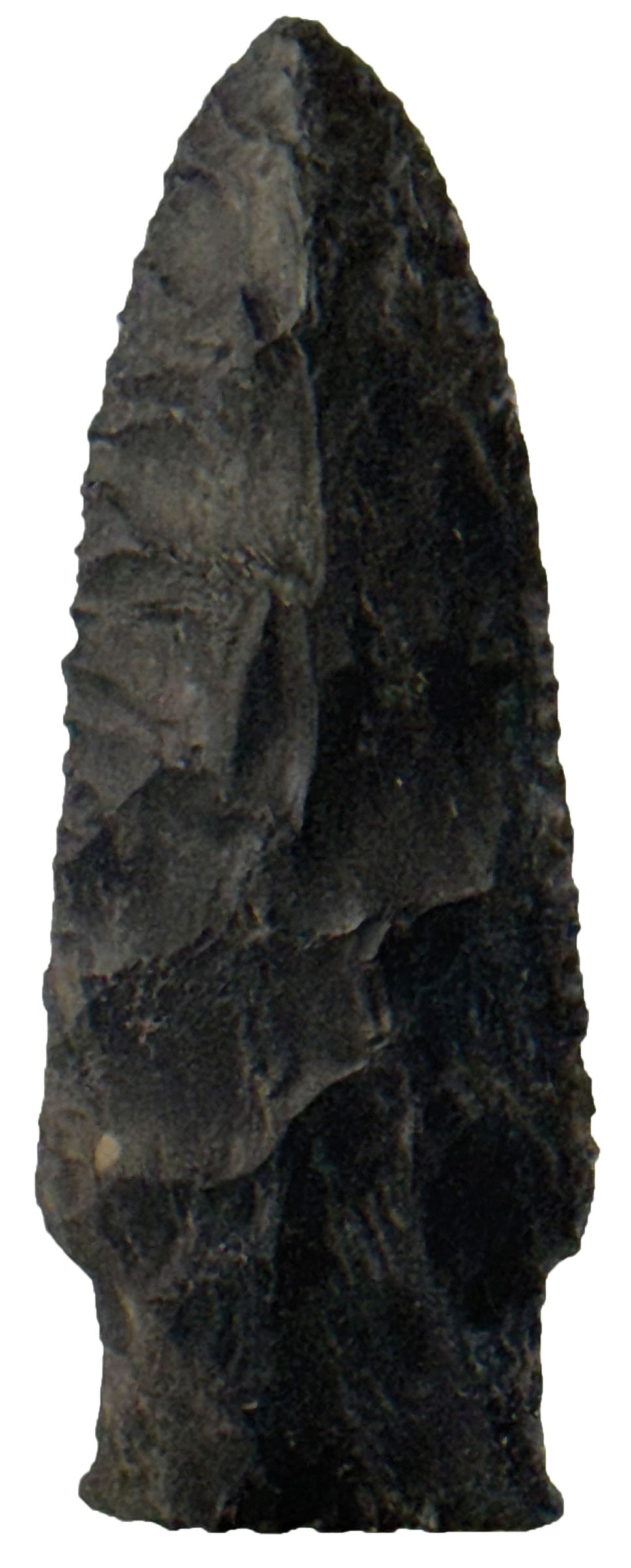 3 113/16” Stringtown. Licking Co., OH. Ex Charles West. Rogers COA. (1 of 3)