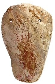 4 3/8” Carved Shell Gorget. Recovered by David Mann on 6-21-1958.