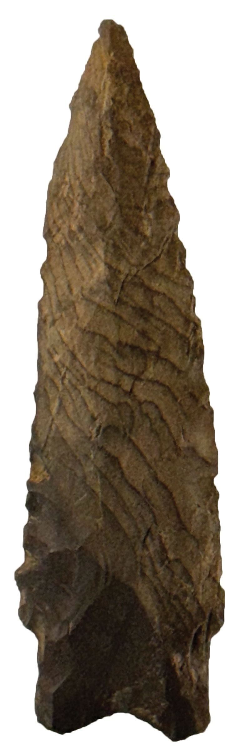 3 7/8” Heavy Duty. Seneca Co., OH. Ex W. Allen and P.Ritcher. Rogers COA. (1 of 3)