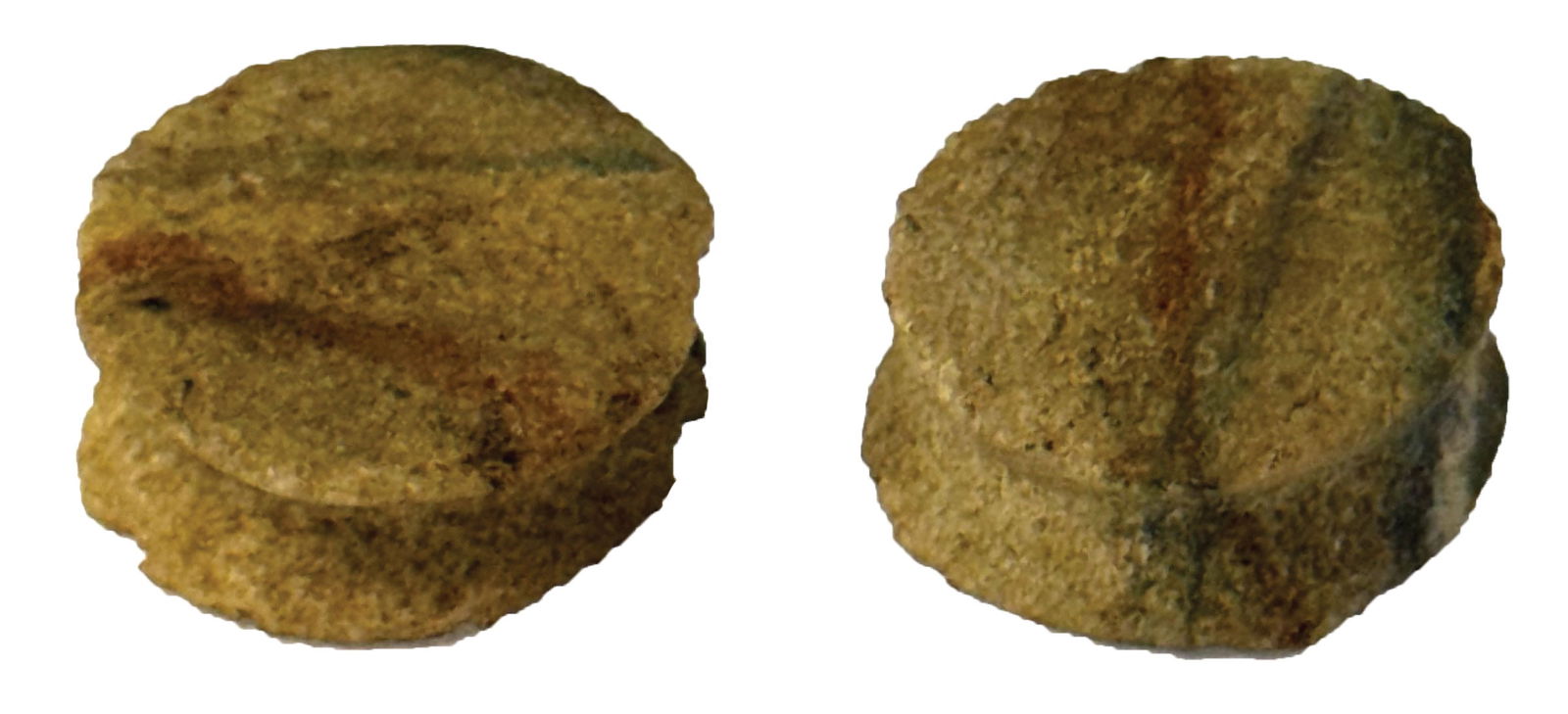 1 1/4" Ear Plugs. Eroded Quartizite. LeFlore County, Oklahoma. Ex John Hall. Jackson COA. (1 of 5)