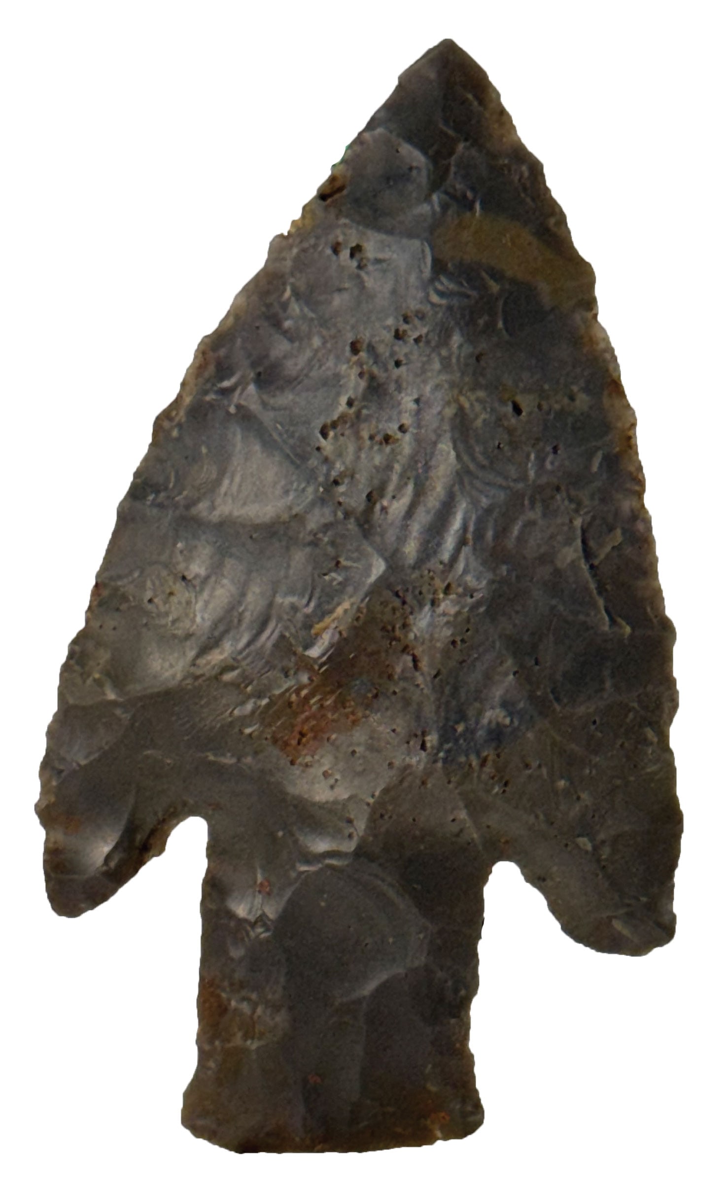 3" Buck Creek. Wyndotte Chert. Casey County, Kentucky. Ex David Smith. Rogers COA.: 3" Buck Creek. Wyndotte Chert (Dark Gray). Casey County, Kentucky. Ex David Smith and Paul Ritcher Collections. Rogers COA.