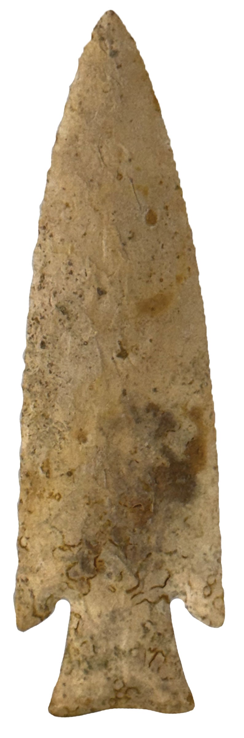 4 5/8" Hardin. Cream Color Chert. Greene County, Illinois. Ex James Miller. Rogers COA. (1 of 3)