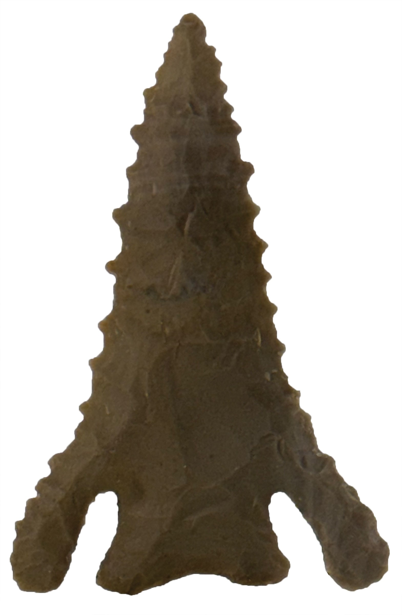 2 15/16" Pinetree. Tennessee. Heavily Serrated Example. Tom Davis G10 COA. (1 of 3)