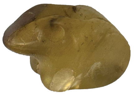 2 1/2" Chlorite Frog Effigy Pipe. Fully Translucent. Ohio. Ex Ed Russ Mayland Collection.: 2 1/2" Chlorite Frog Effigy Pipe. Fully Translucent. Lockington (Shelby County), Ohio. Ex Ed Russ Mayland Collection.