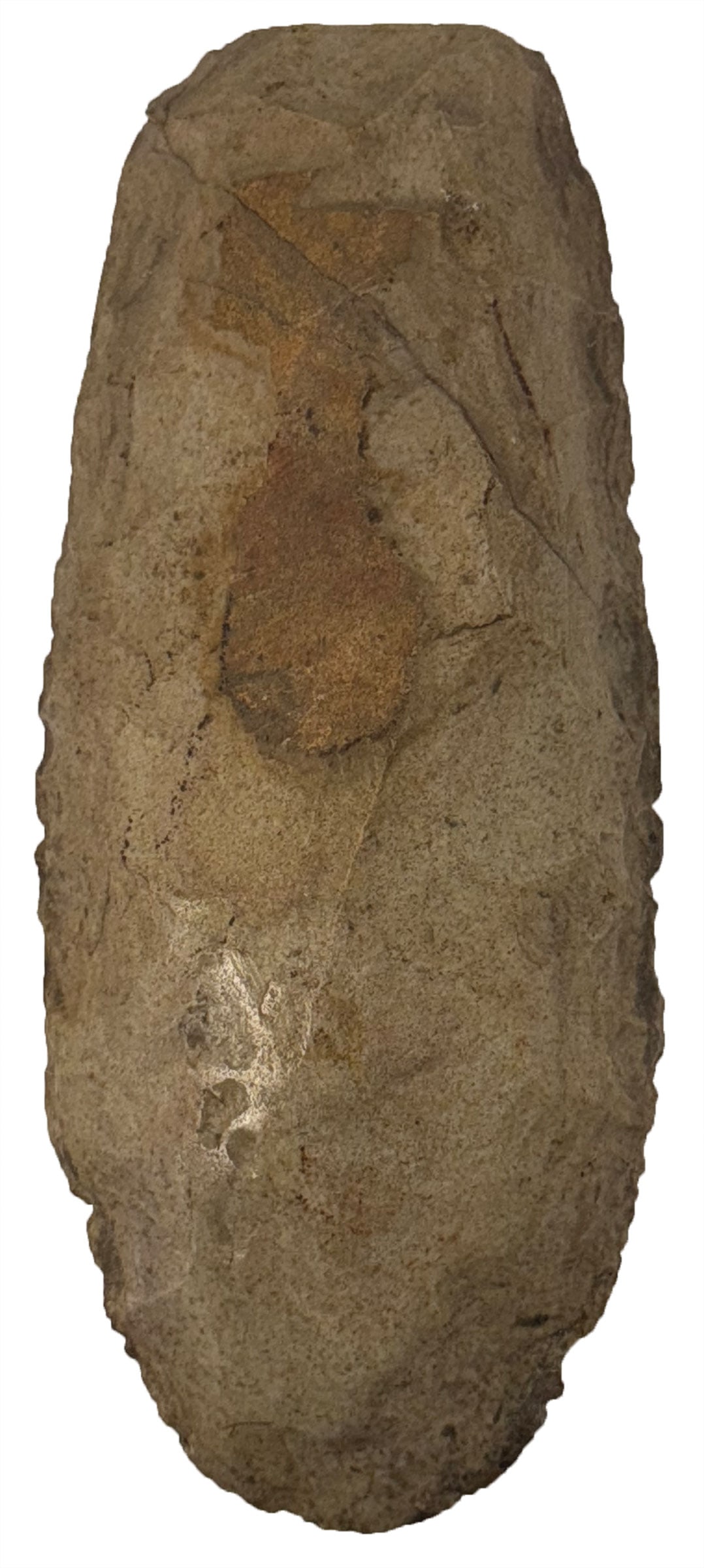 9 3/8" Flint Spade. Bit is nicely Polished. Recovered in 1962. Cape Girardeau County, Missouri. (1 of 2)