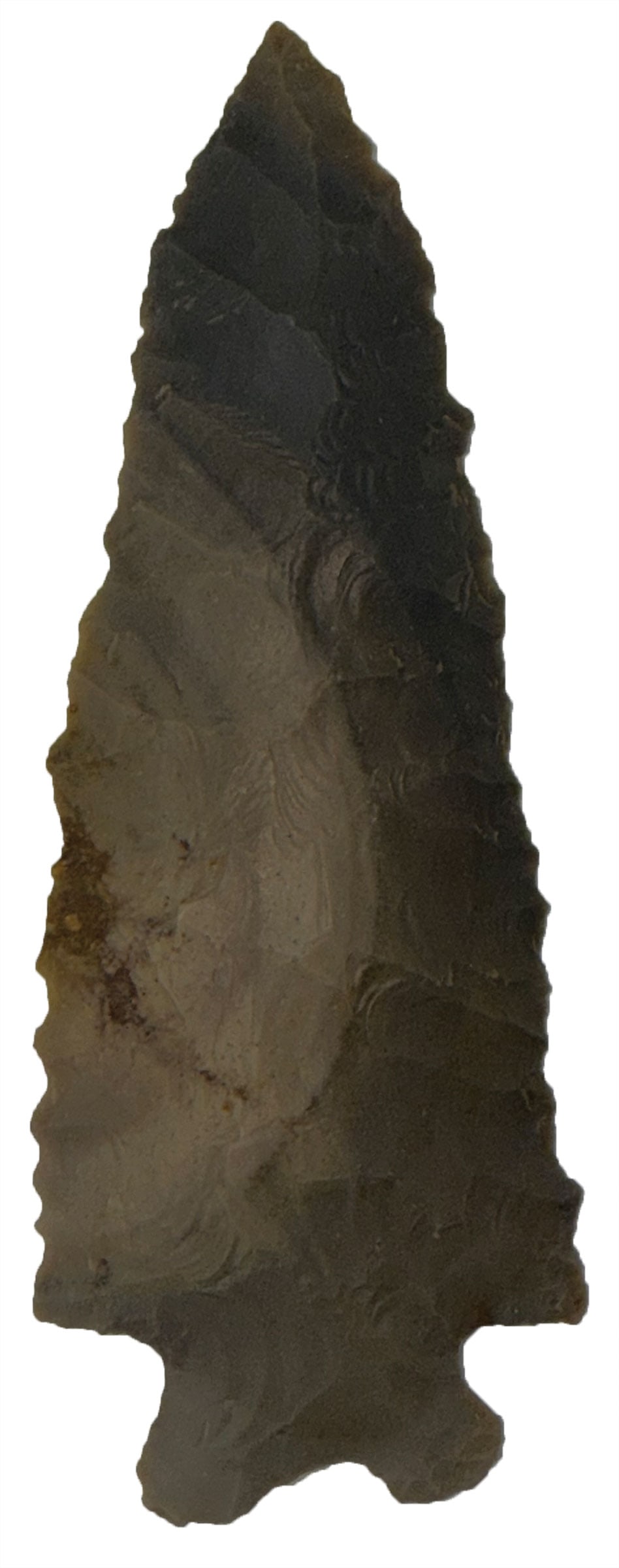 6 1/4" Buzzard Roost Creek. Hornstone. Calloway County, KY. Ex Terry Allen. Rogers COA. (1 of 3)