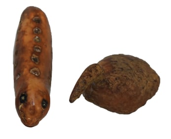 Two Inuit Artifacts: Seal Hunting Effigy with metal inlay and Bird Effigy. Ex Daniel Blair.